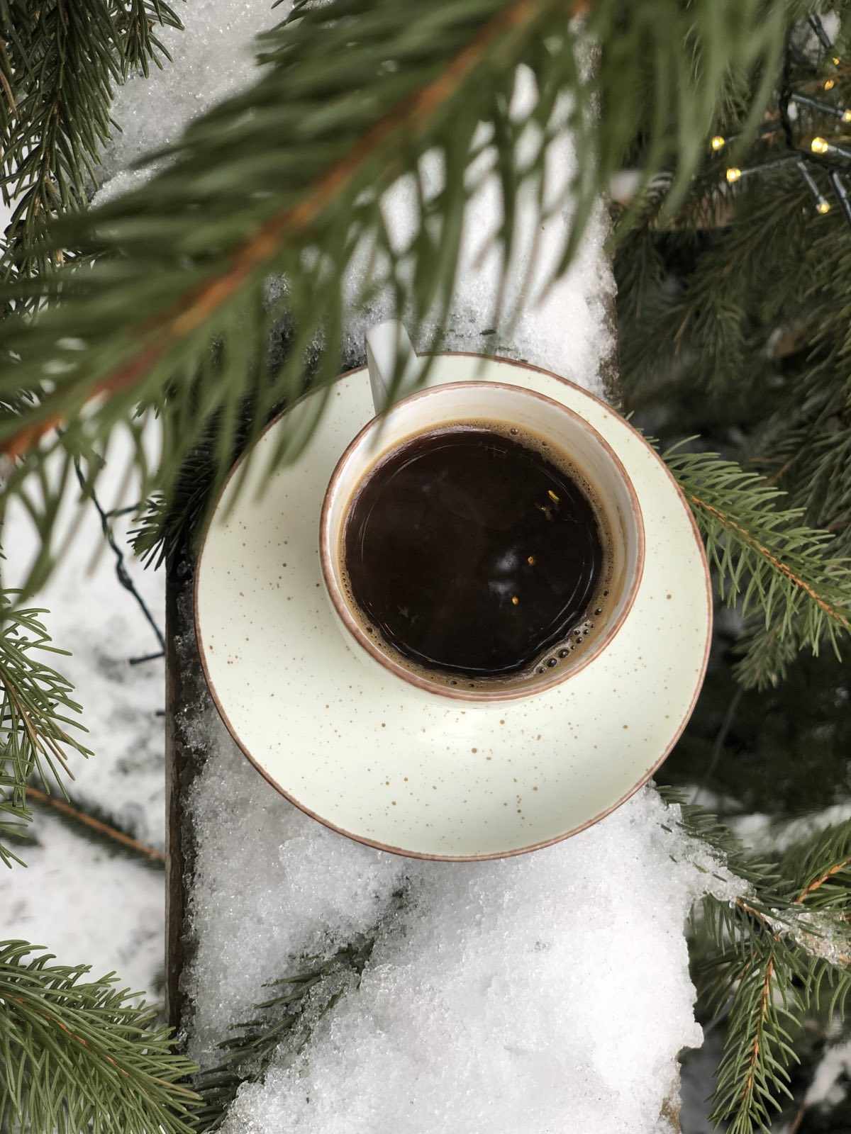 Najlepsza kawa w Zakopanem - Kawa speciality w Schronisku Krupówki